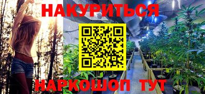 дурь Будённовск