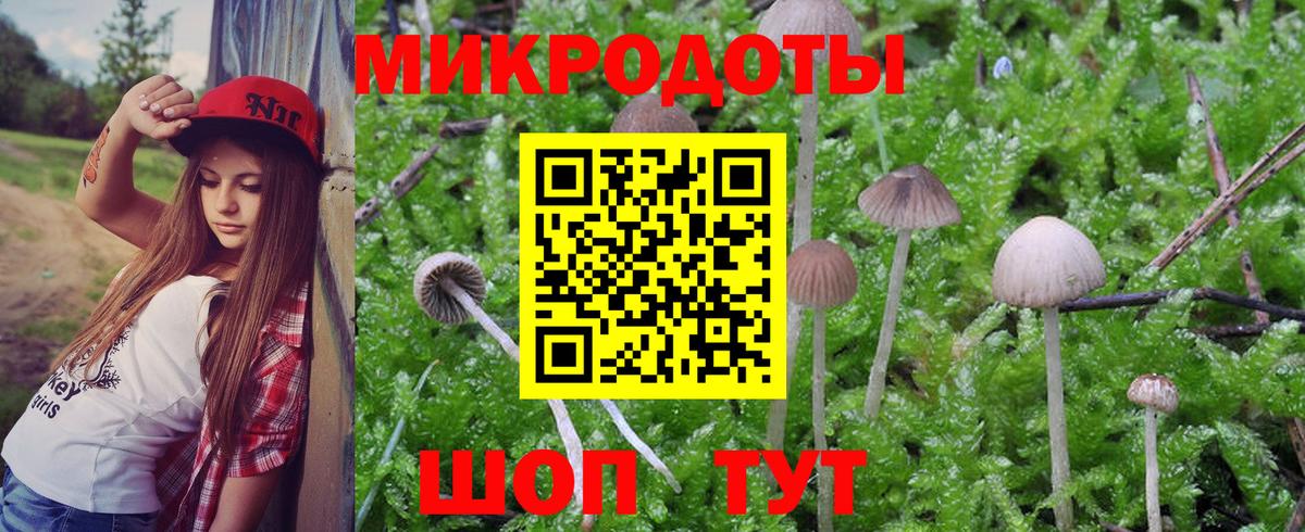 Галлюциногенные грибы MAGIC MUSHROOMS  Псилоцибиновые грибы ЛСД  Муравленко  Вход с VPN 